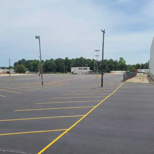 Food Lion 1